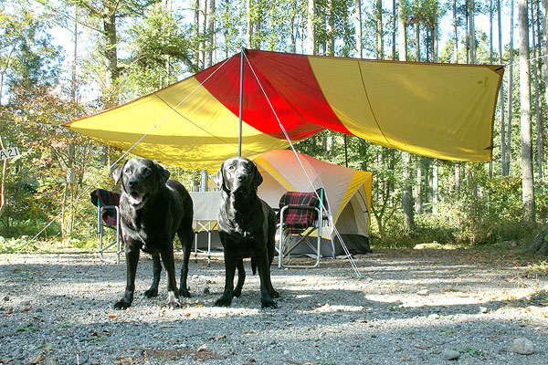 Camping with your dog should be fun